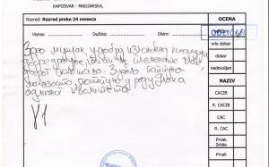 2013.10.27 Mladenovac II.országos (Szerb)sarplaninac Bajnokság Bajnoka-bírálati Lap