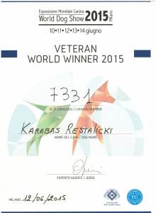 2015.06.12. Weteran World Winner