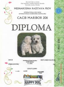 Déva-2011.05.07. Maribor-Diploma